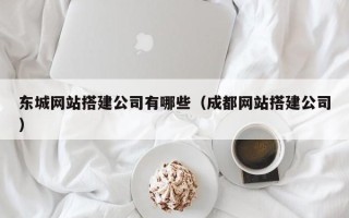四川东城网站搭建公司有哪些（成都网站搭建公司）